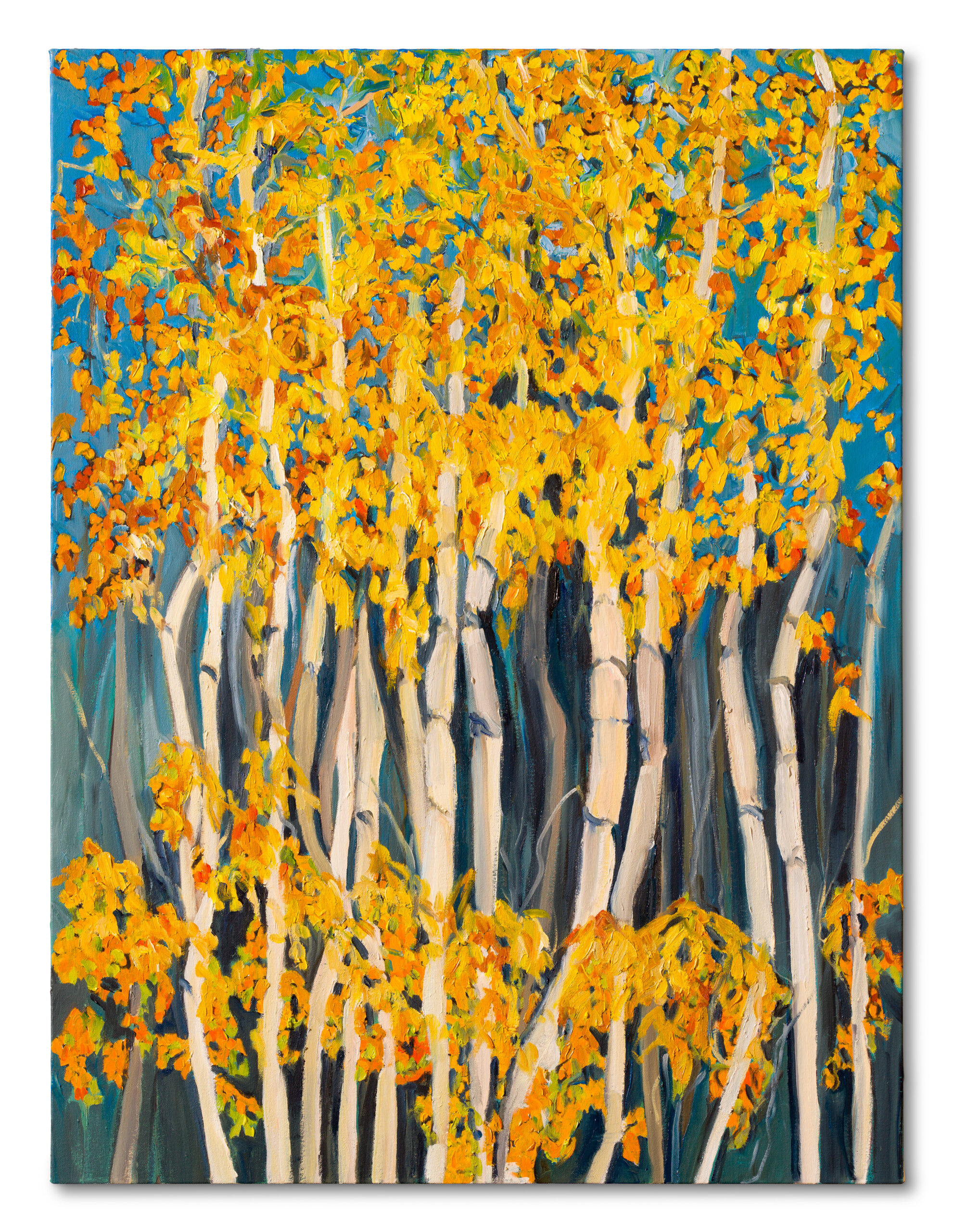 New Mexico Landscapes - Susan T. Moore